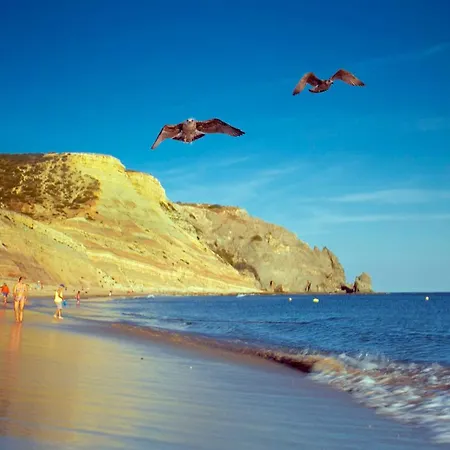 Topside Gasthuis Luz